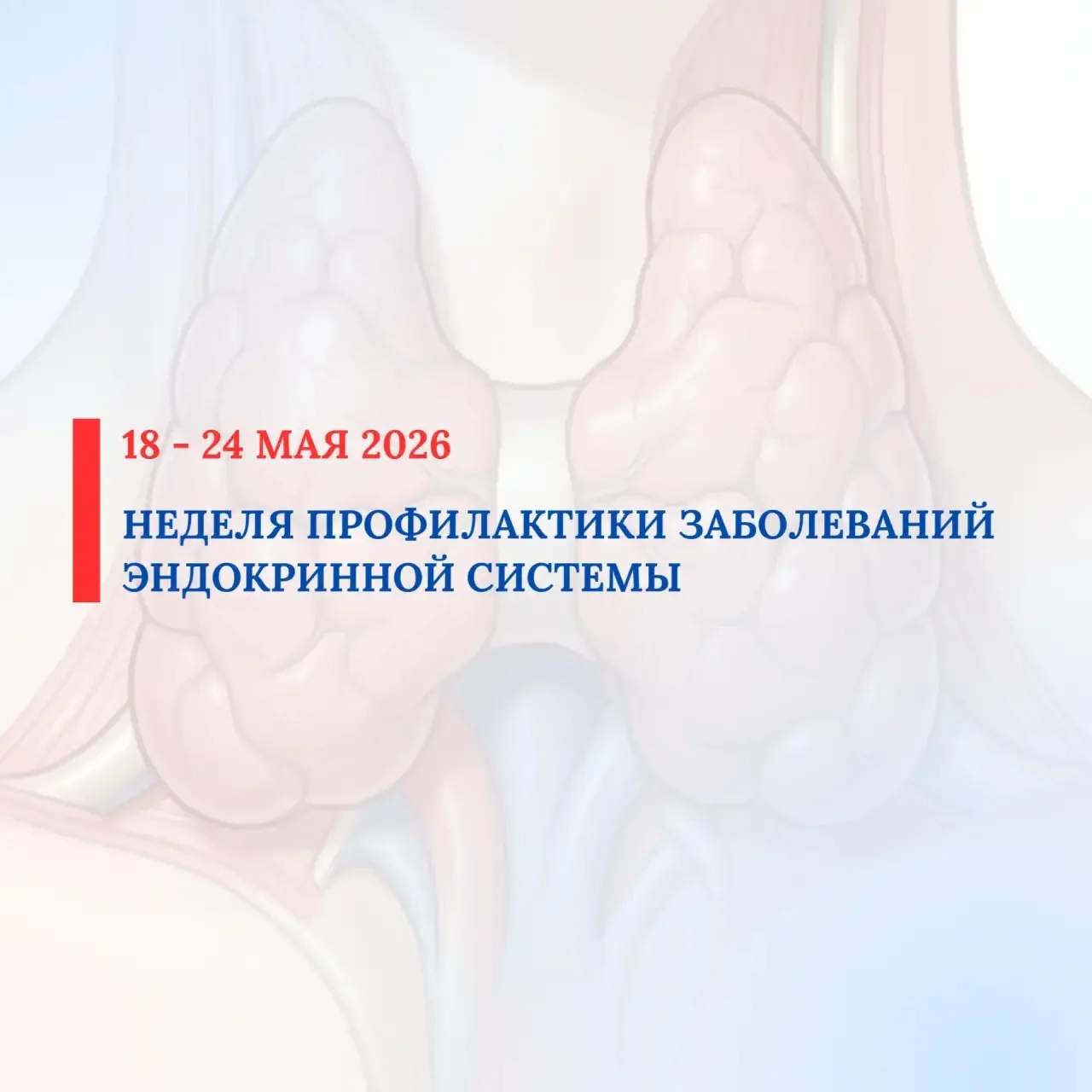 С 18 по 24 мая 2026 проводится Неделя профилактики заболеваний эндокринной системы (в честь Всемирно