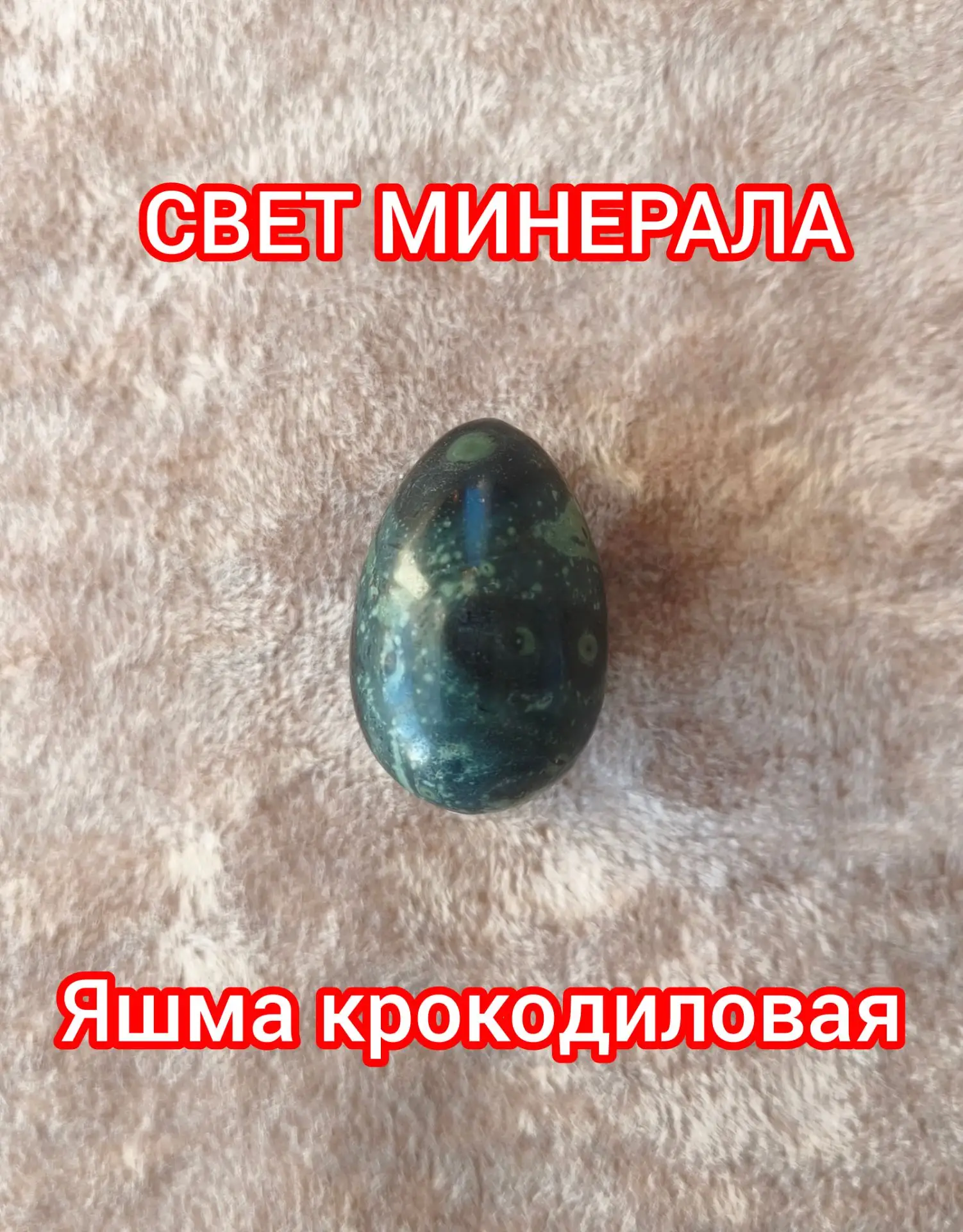 ЯШМА КРОКОДИЛОВАЯ (Камбаба)