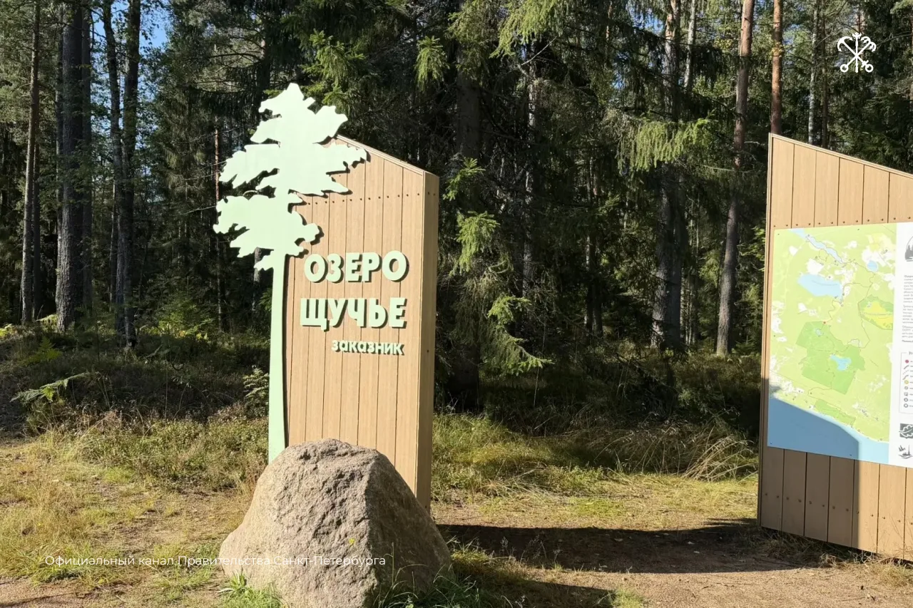 В заказнике «Озеро Щучье» высадили 250 молодых сосен. Экологическую акцию приурочили к ...