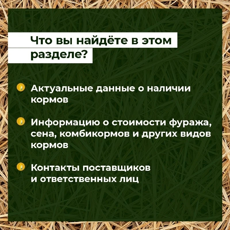 Онгудай | Горно-Алтайск | Майма | Чемал🏡  В Республике Алтай запущен интернет-раздел о закупе кормов