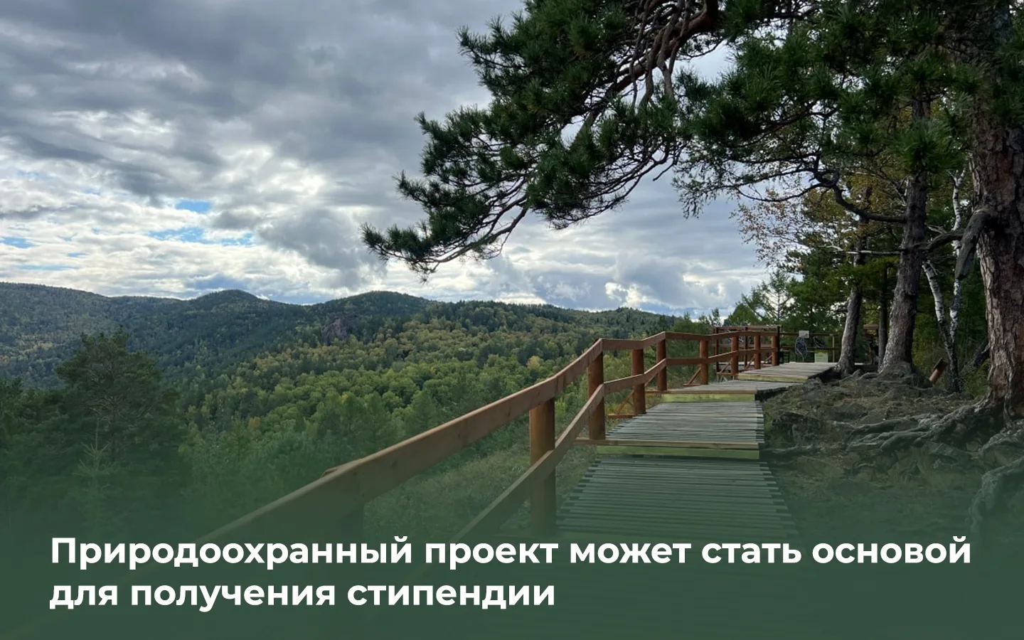 🏞️  Стипендия для защитников природы
