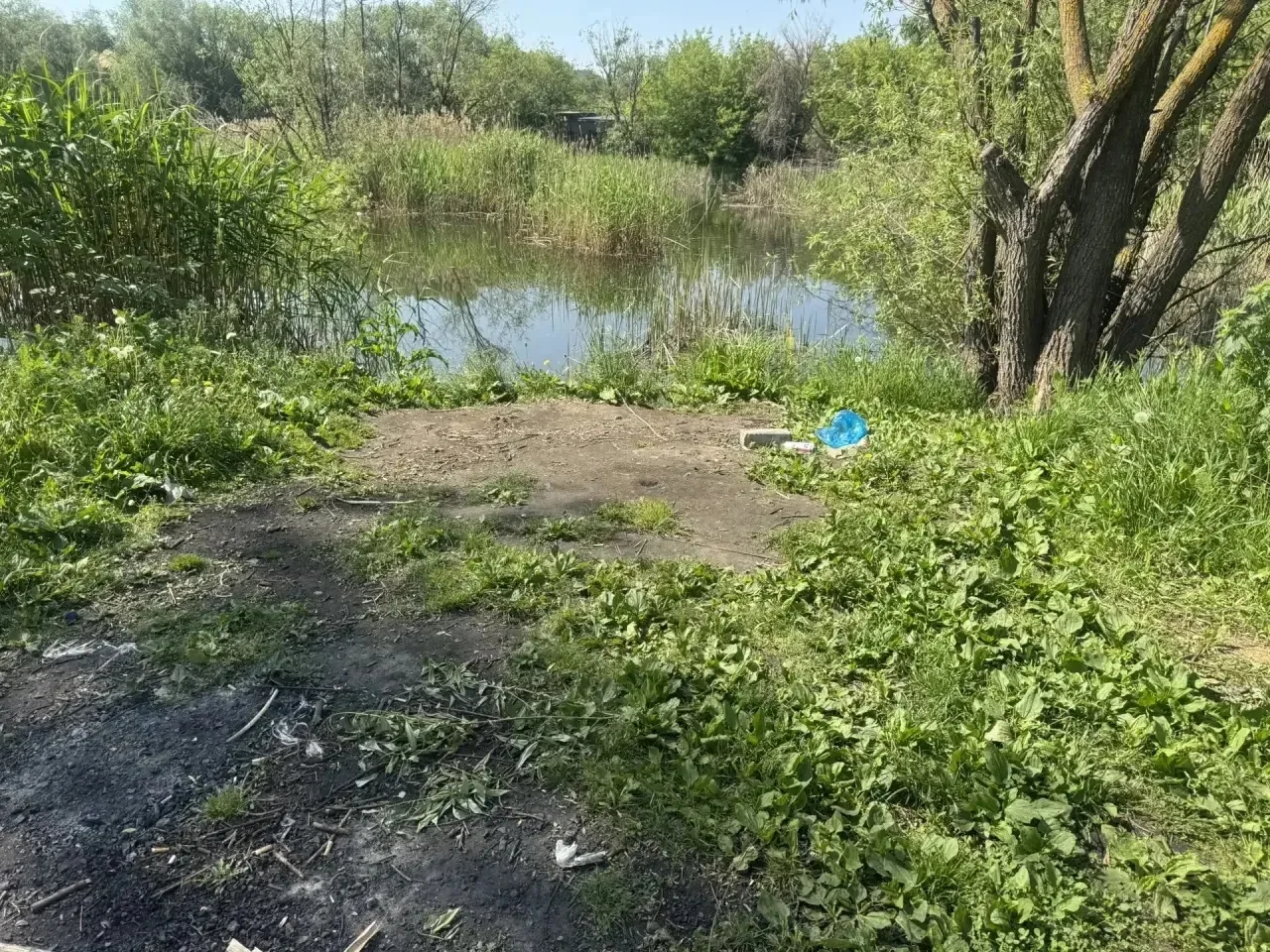 А вы помните, как звали этот пруд? 🤫