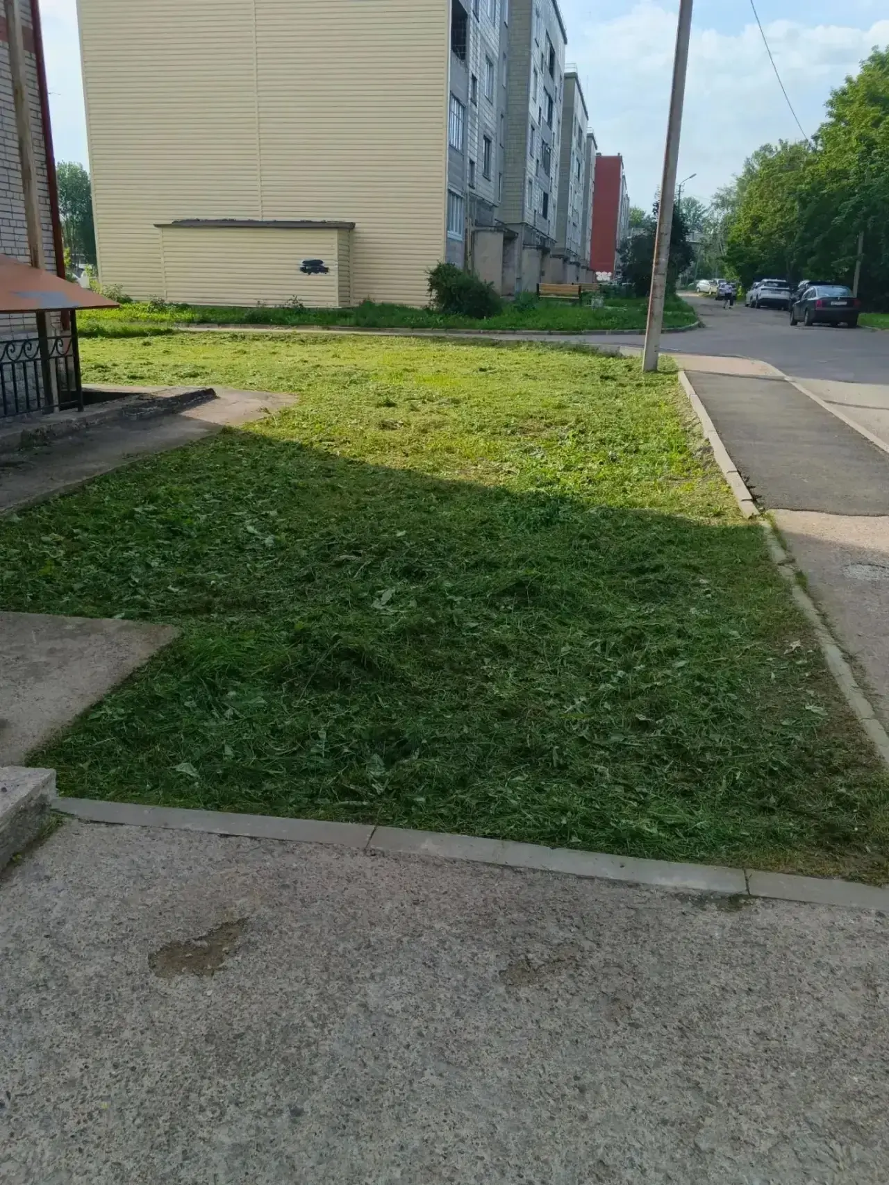 🏡5 микрорайон, д. 3, 4 - повторный покос травы