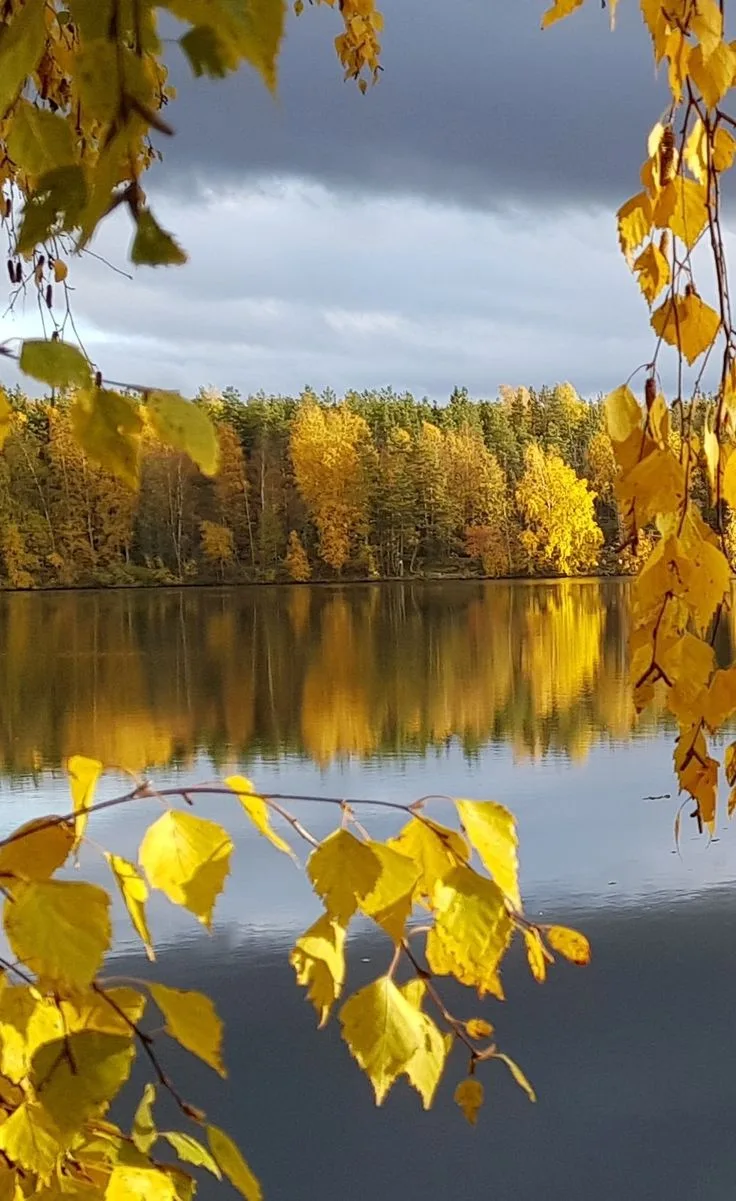 Доброго утра!🍂🍁🌲