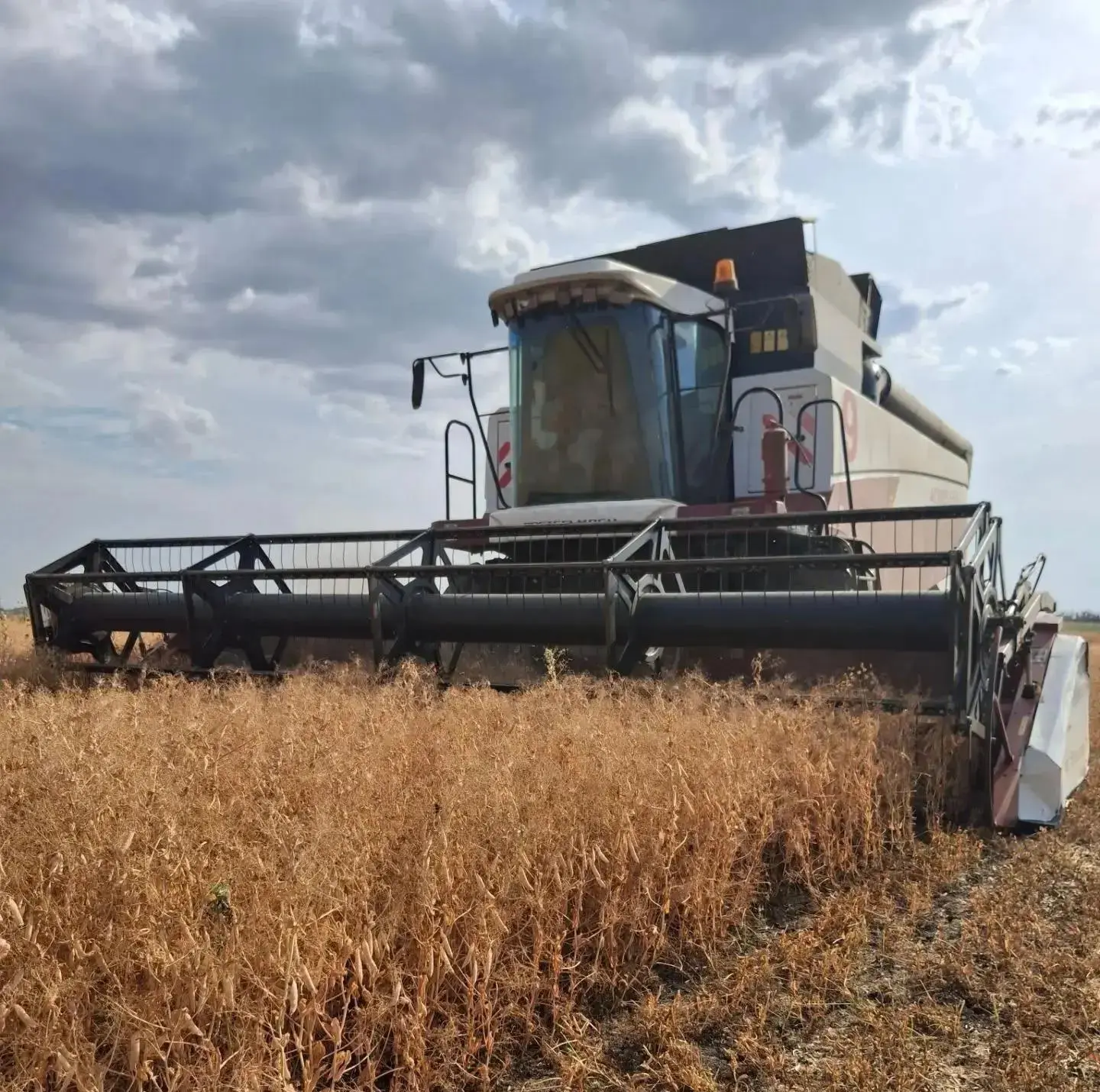 🌾 Кубань засеет озимыми более 1,8 млн гектаров