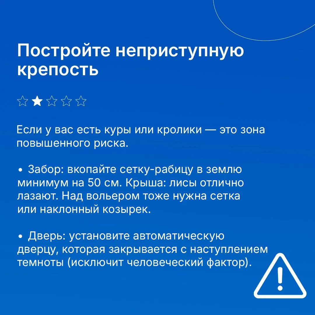 Лиса — зверь хитрый и красивый. Но соседство с ней в загородном доме может обернуться проблемами: ра