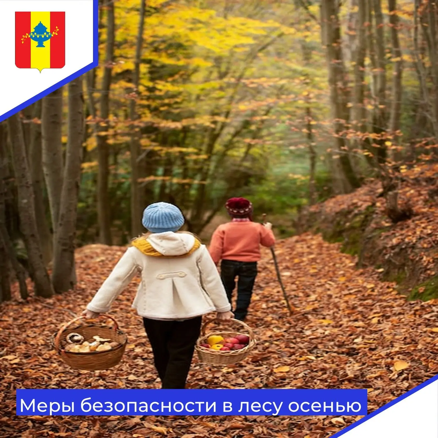 Осень – прекрасное время для прогулок в лесу, сбора грибов, листьев и природных материа...