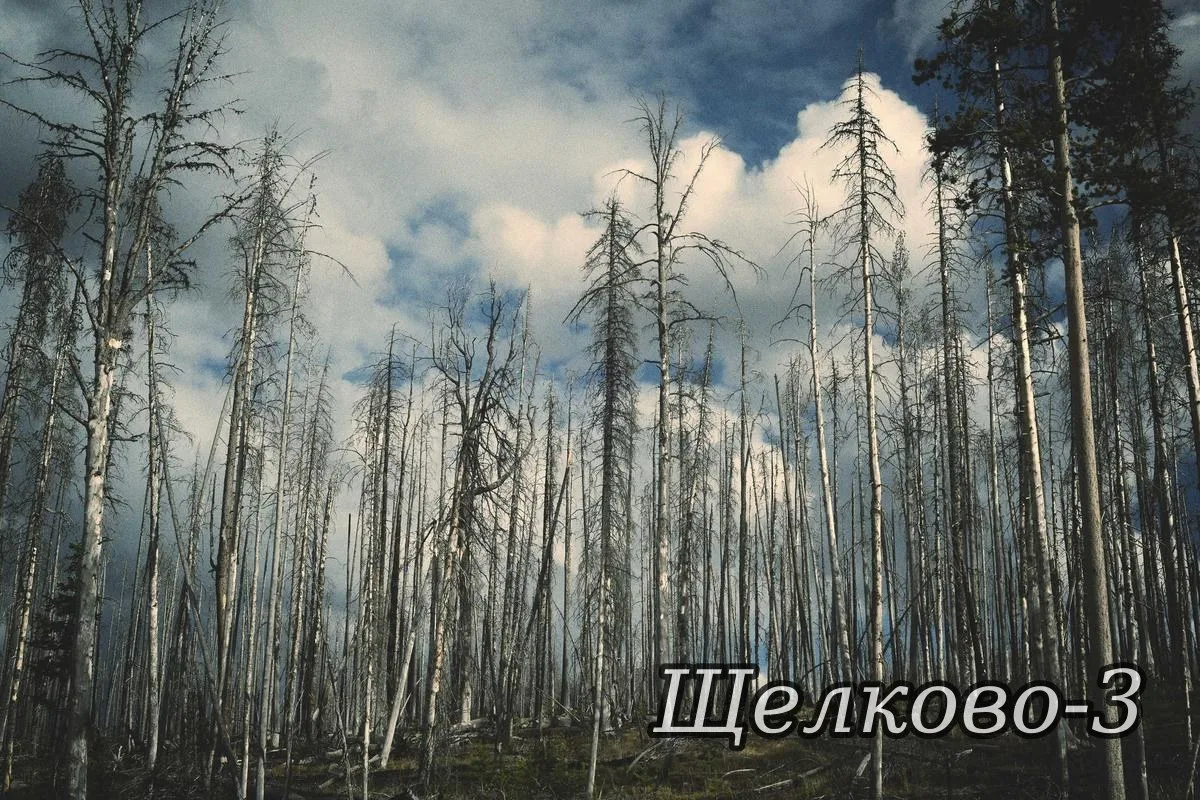 🗓 26.05.2026 года

📰 Вчера в канале
     В публикациях за 25 мая 2026 года освещались городские пе