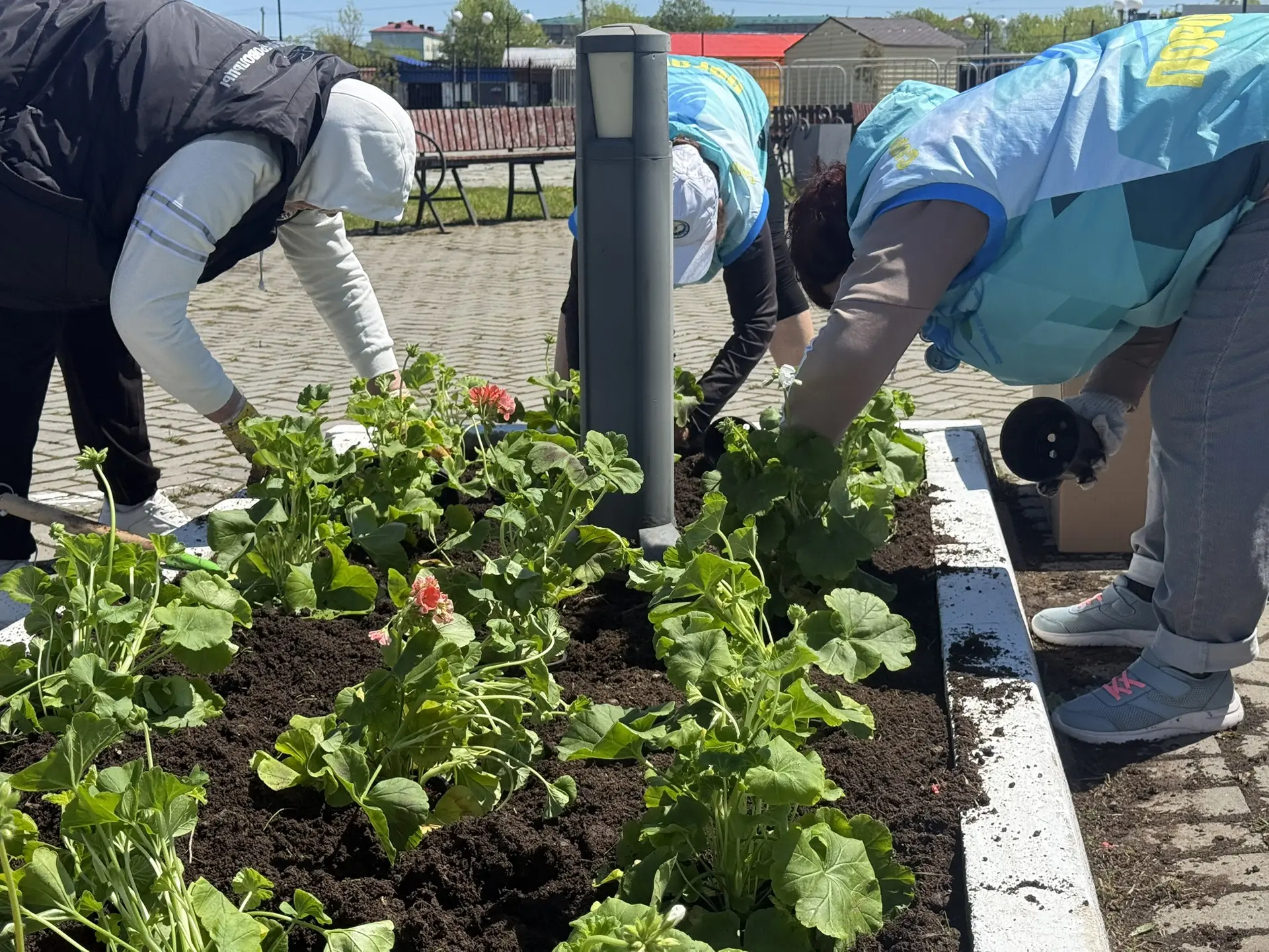 В городском парке приступили к высадке цветов🌸 

Сегодня в городском парке приступили к высадке цве