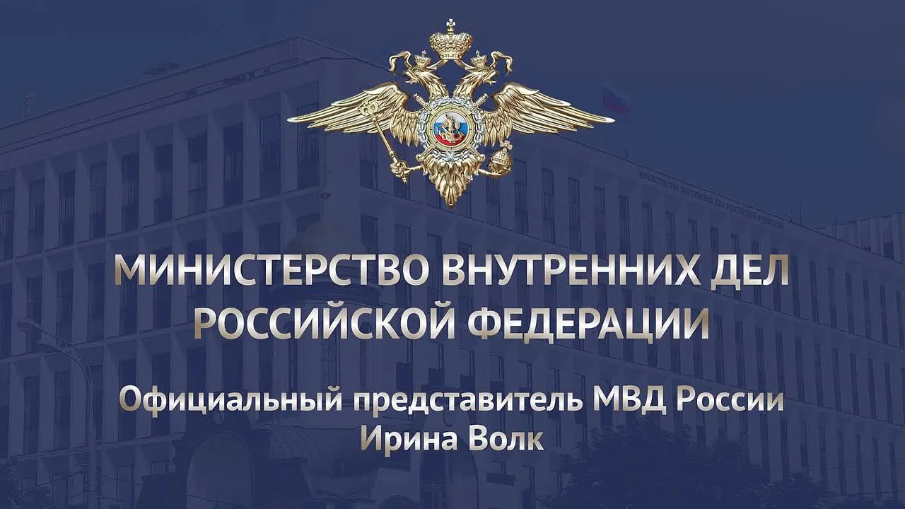 Сотрудниками МВД России пресечена деятельность преступной группы, организовавшей нелегальный канал п