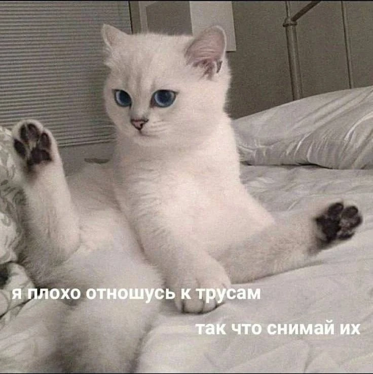 Рождённые 8, 17 и 26 числа — лучшие любовники, заявили нумерологи.

@FactTG