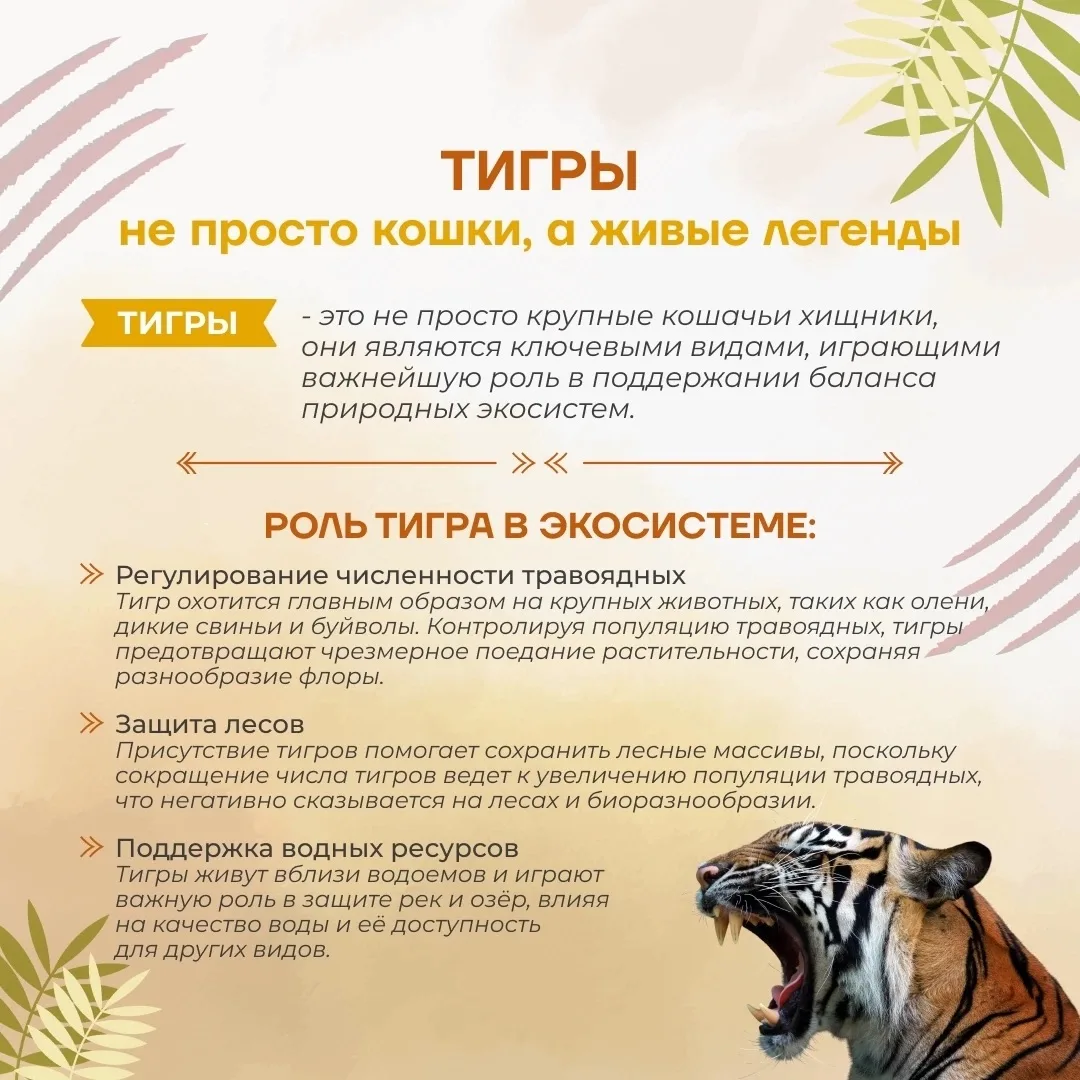 🐯 29 июля — Тигриный день рождения!

Сегодня, 29 июля, мы отмечаем необычный праздник — Тигриный де