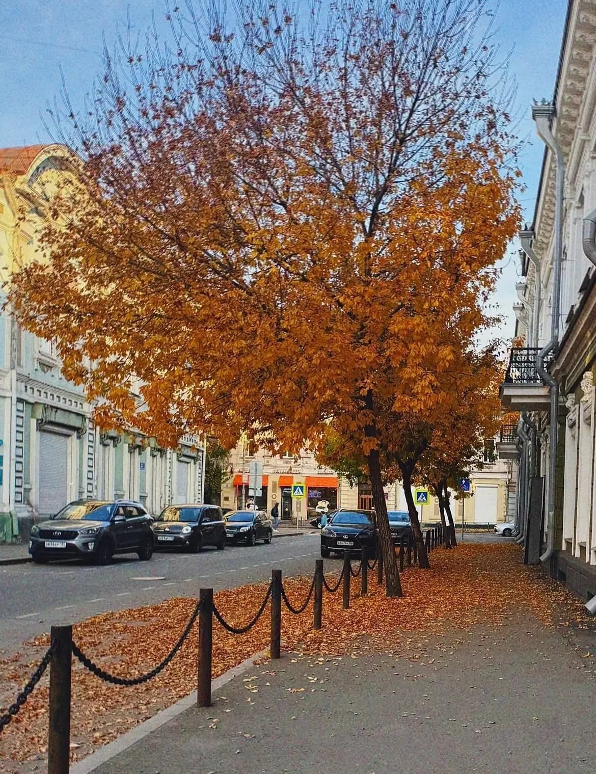 Золотая осень🍂