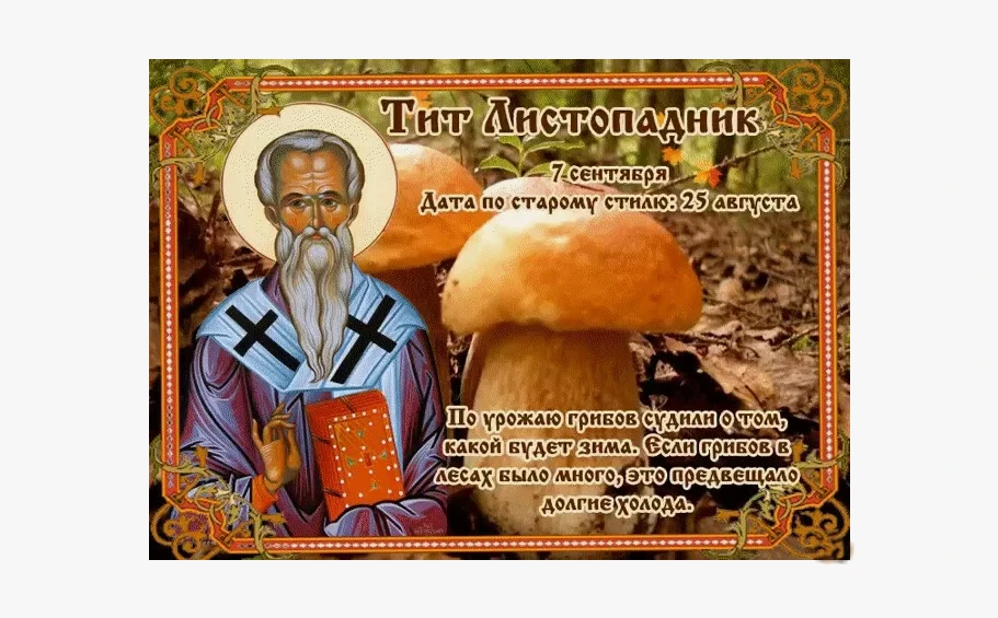 📜 Тит Листопадник: народный календарь 7 сентября