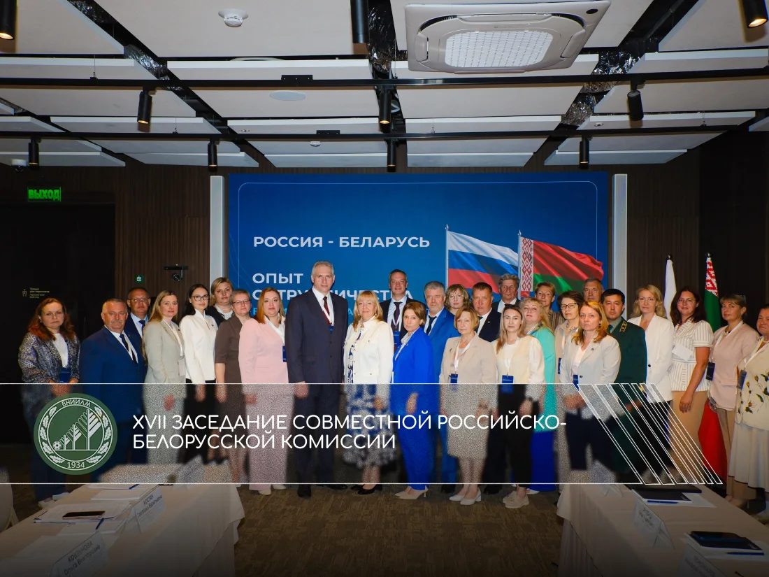 XVII заседание Совместной Российско-Белорусской комиссии