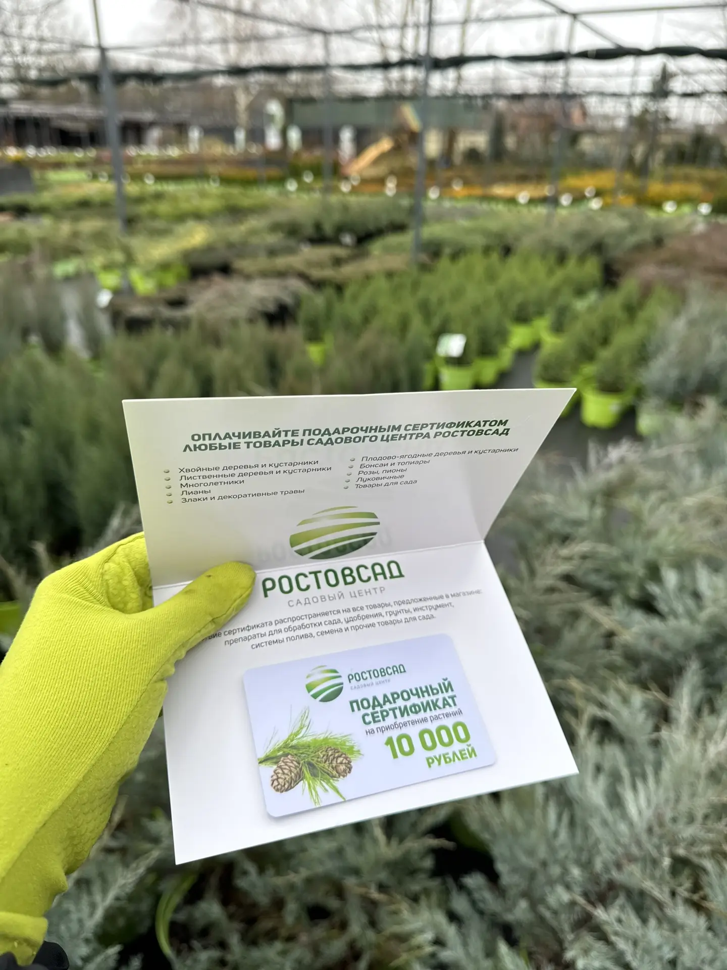 Подарочные сертификаты от садового центра РОСТОВСАД  Актуальный подарок к НГ для увлеченного садовод