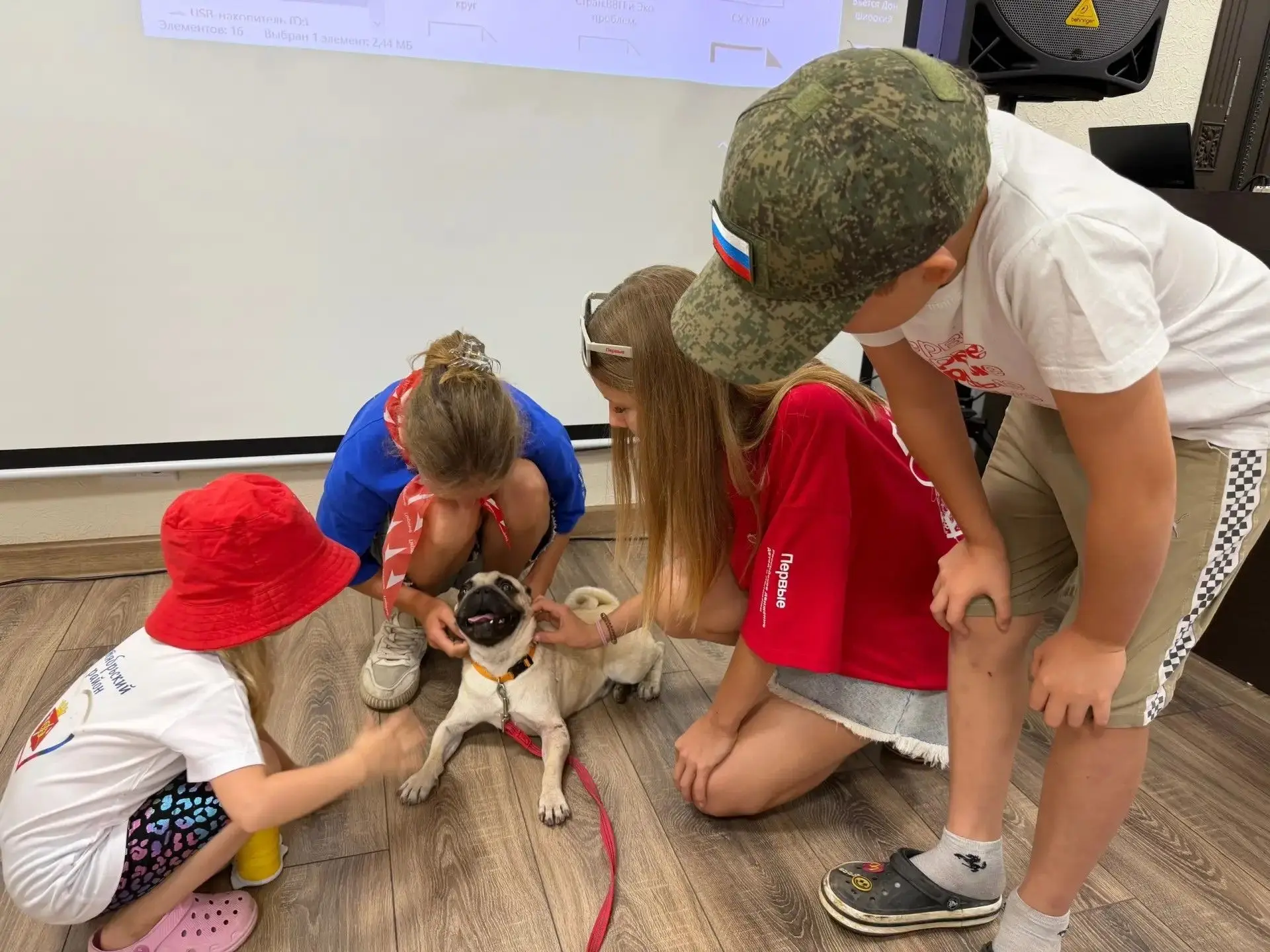 🐶 В Краеведческом музее Октябрьского района в рамках Всероссийской акции «Забота о мен...