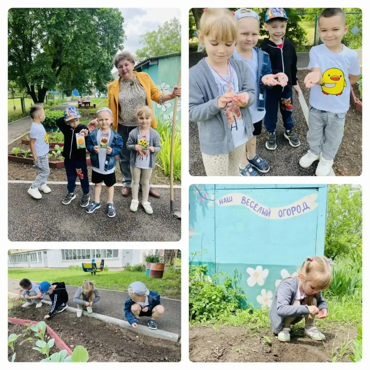 Дети средней группы ☀️«Солнечные лучики» посадили семена цветов🌻 на клумбы. 
Цветы, посаженные ребя