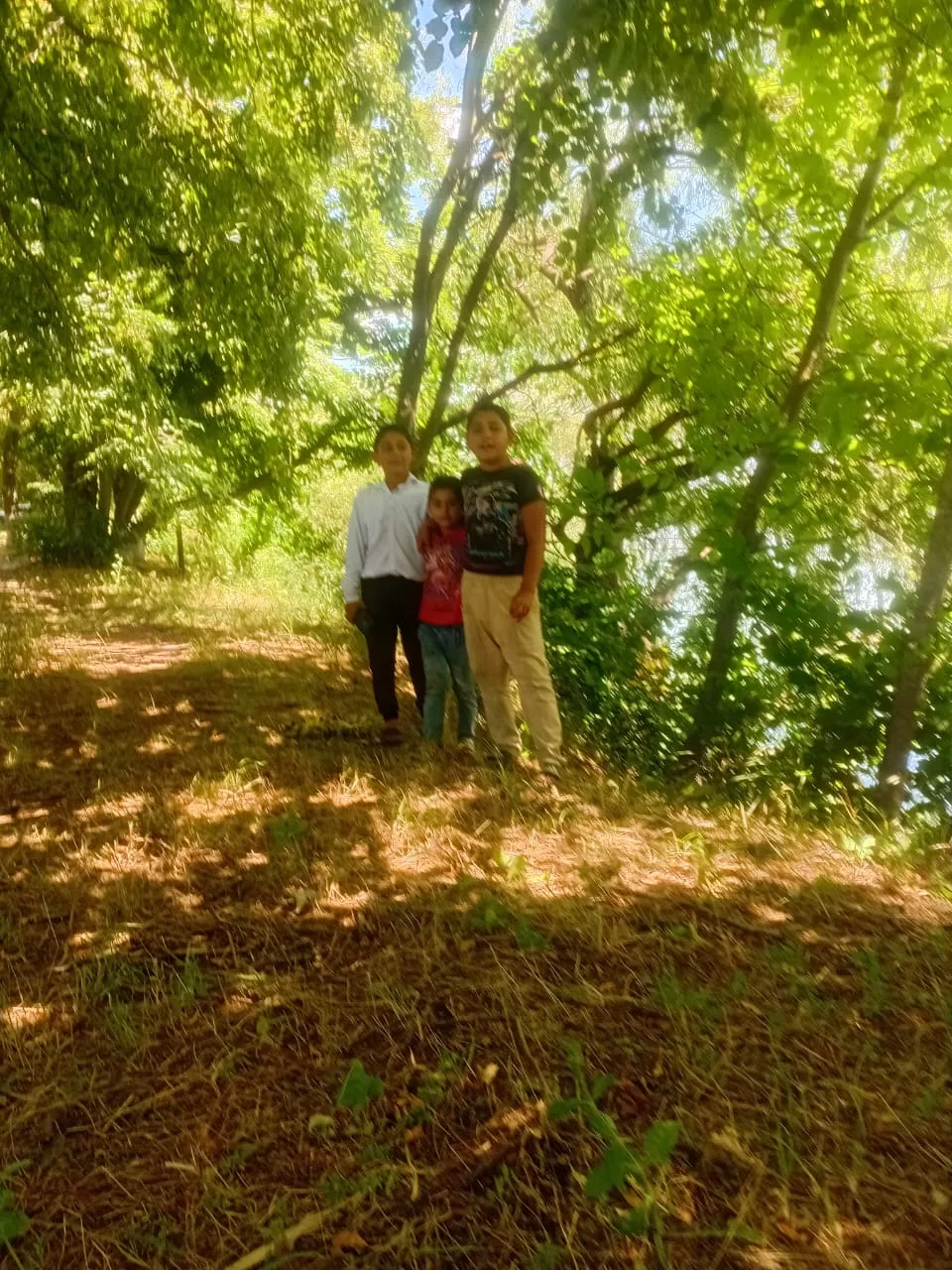 Учащиеся 2 класса Петр и Даниил наслаждаются мгновением лета!☀️

Шум леса 🌲, прохладная речка 🏊‍♂️