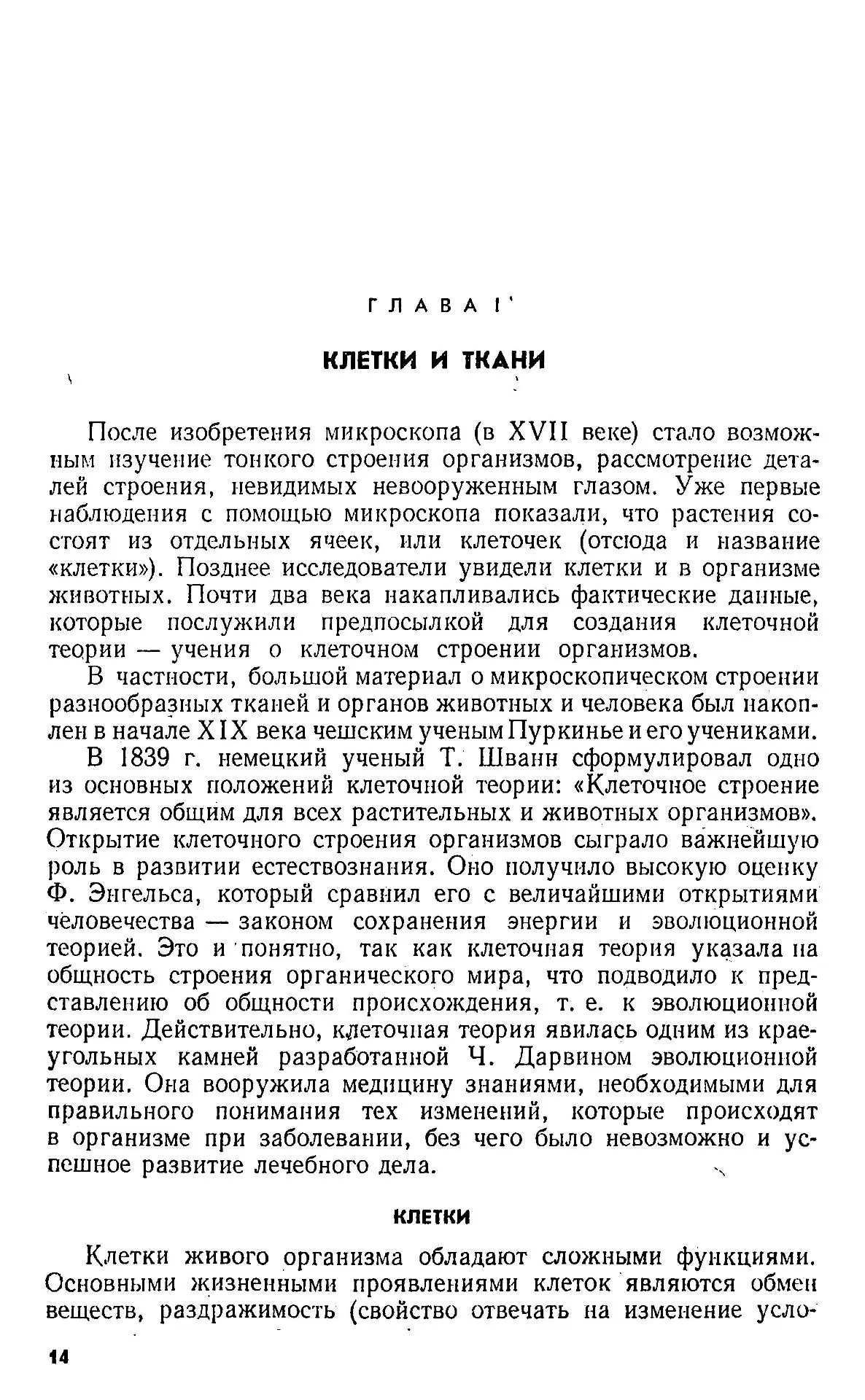 Строение и деление клеток