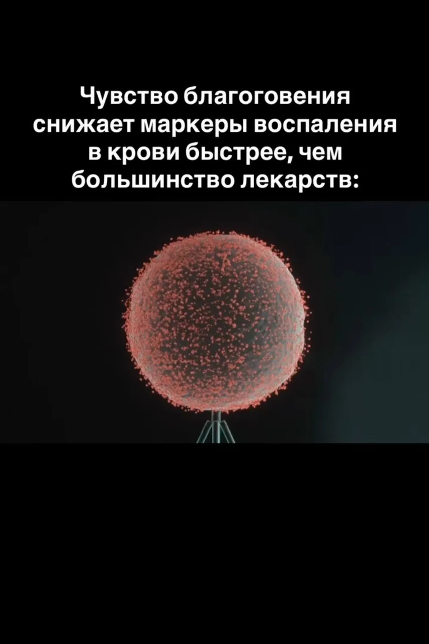 Постоять и посмотреть на закат - звучит как трата времени. Наука говорит другое.