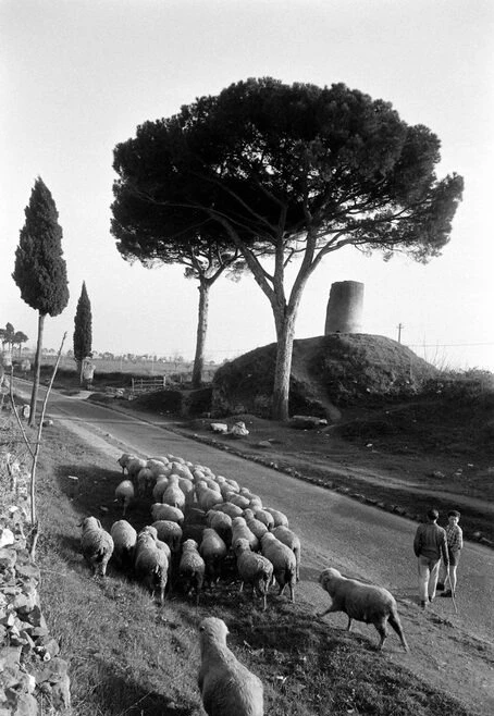 📸 Via Appia Antica