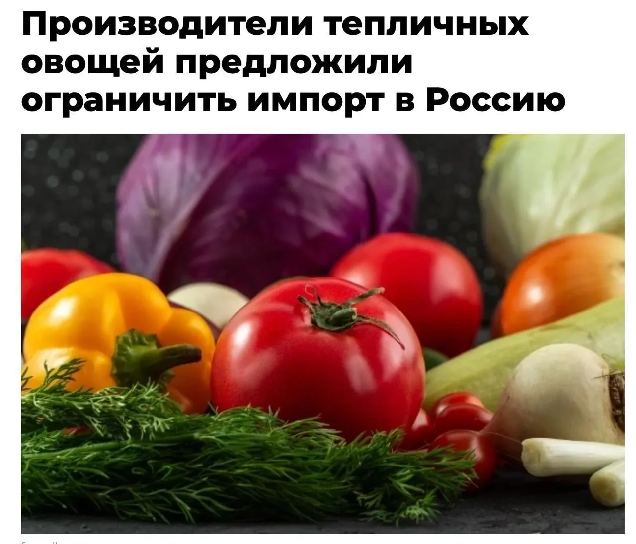 Производители овощей в России предложили ввести «утильсбор» на импортные огурцы, томаты...
