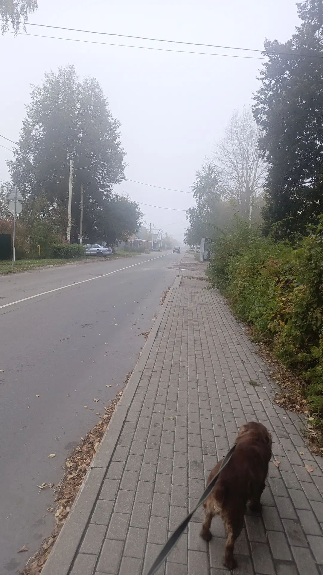 Картина с утра на улице 🥰