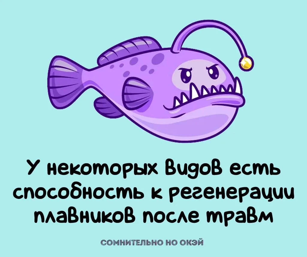 Признавайтесь, знали?
