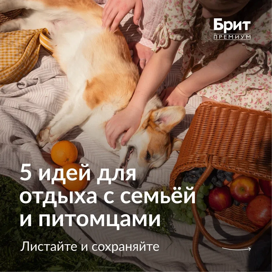 Сохраняйте нашу подборку и проводите время с семьёй весело и душевно!