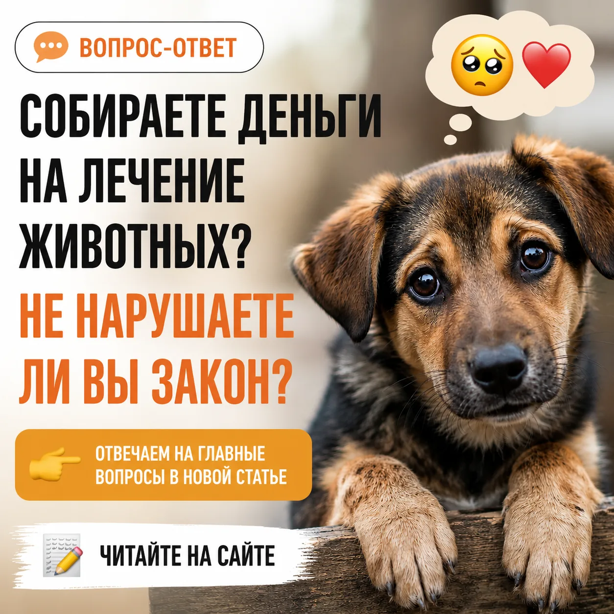 🐶 Как не стать нарушителем закона, помогая бездомным животным?

Многие волонтеры собирают деньги на
