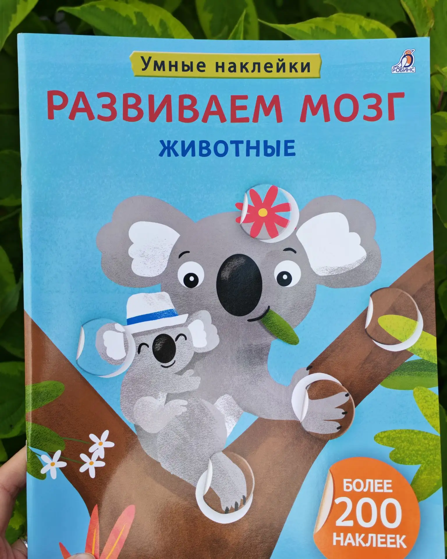 📕 Классная книга с наклейками от издательства Робинс
Тренируем мозг. Животные (3+)

На 13 тематичес