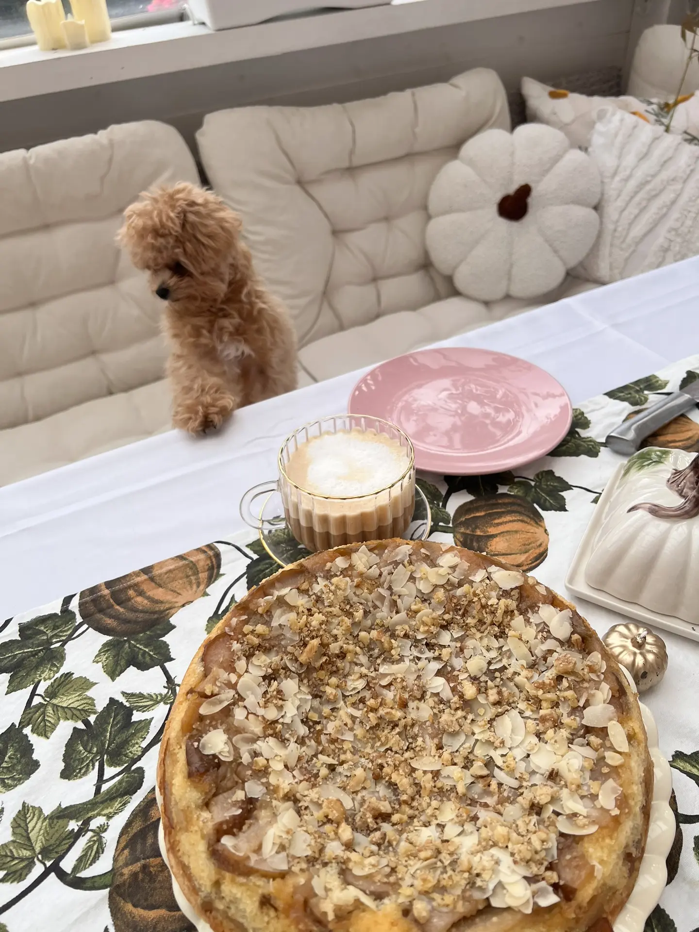 Грушевая шарлотка 🥧 от Саши