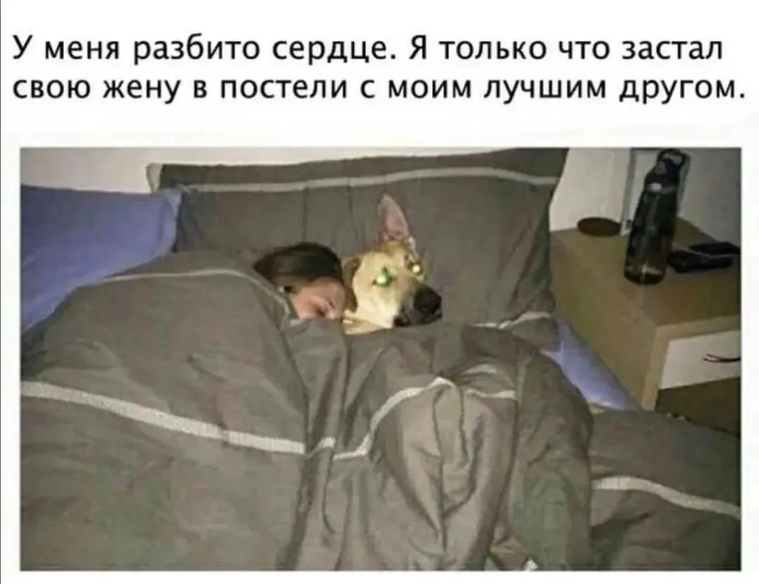 😅😅😅