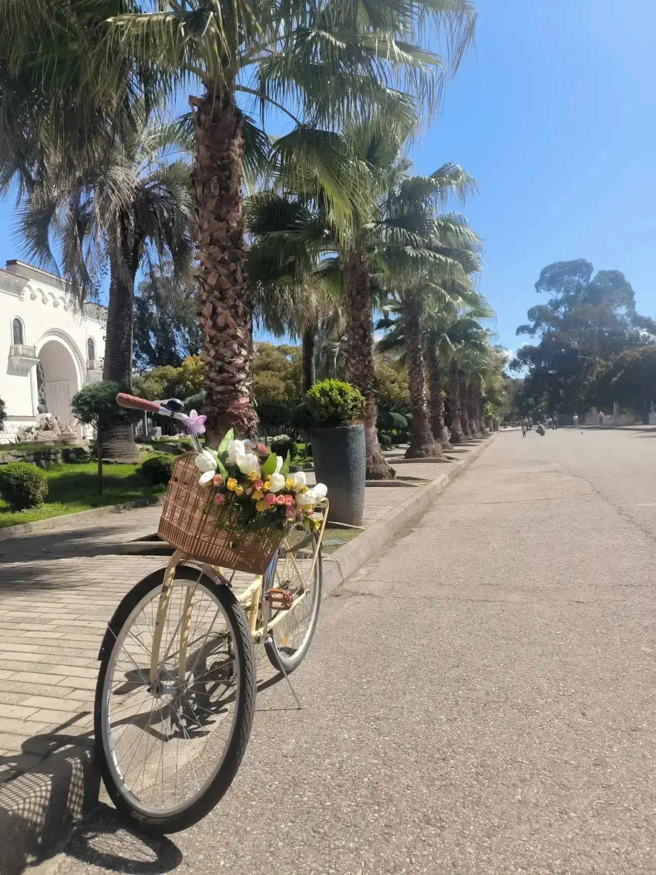 🌴 АБХАЗИЯ  ТЕПЕРЬ ЕЩЁ БЛИЖЕ! ПРЯМОЙ ПЕРЕЛЕТ В СУХУМ ✈ 

  Вылет: #Екатеринбург
  Вылет: #Челябинск
