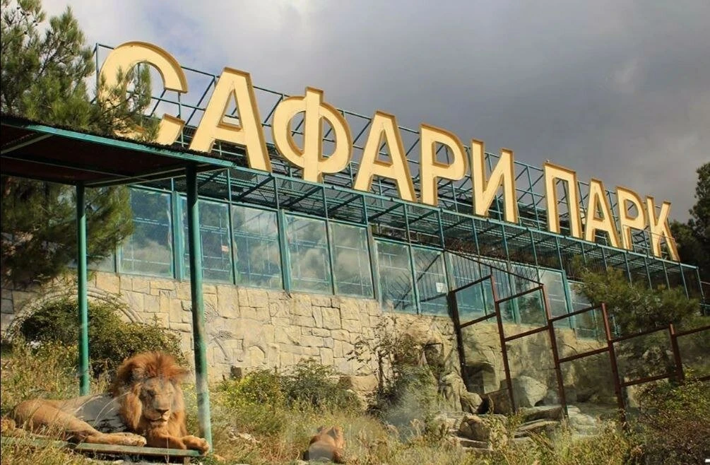 Сафари-парк в Геленджике: что изменилось в этом году