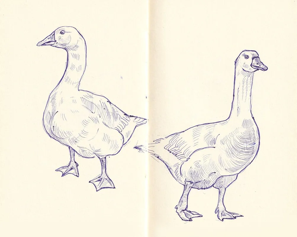 Жили у бабуси...🦢🦢