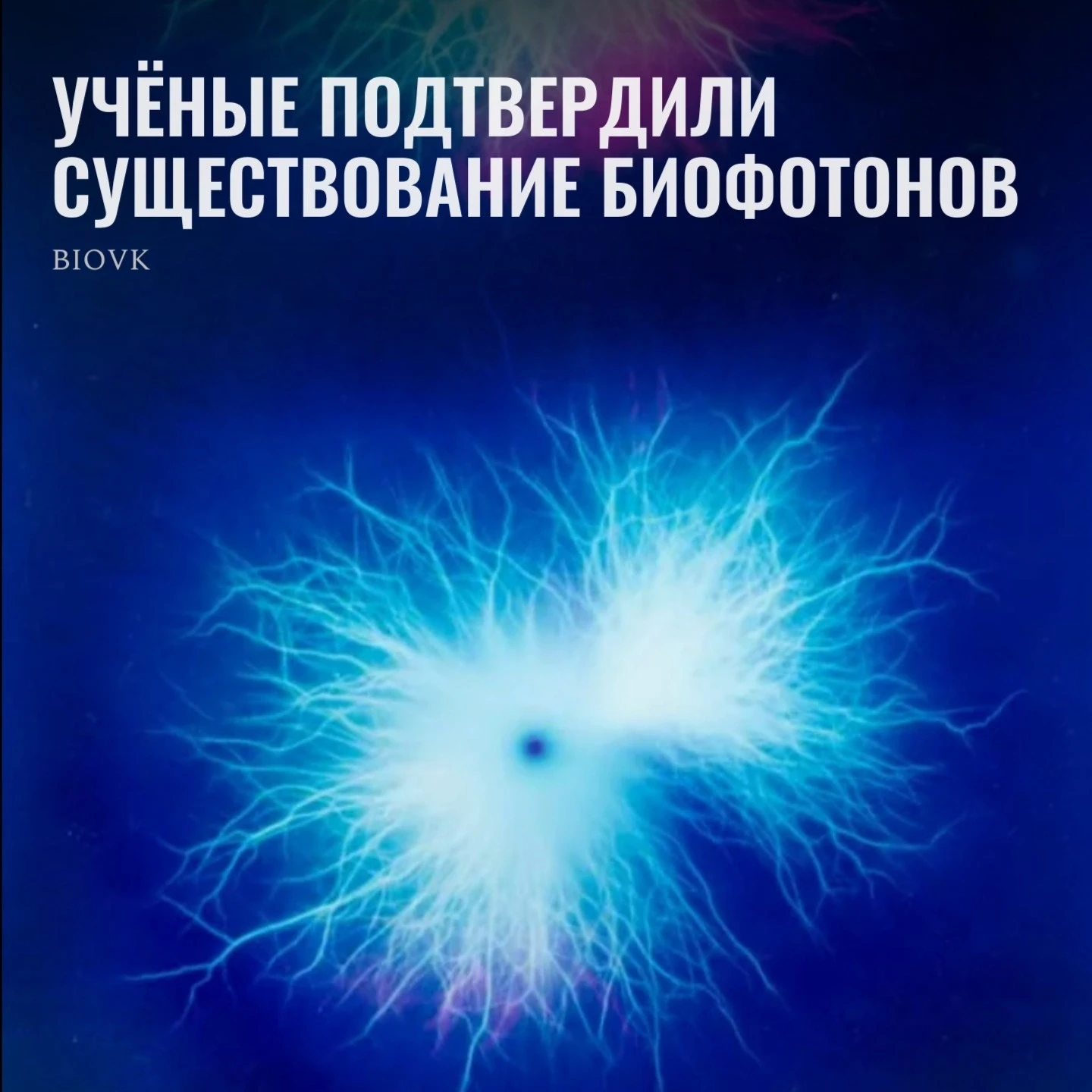 Итак, окончательно доказано, что все живое на планете, включая вашу скромную тушку, постоянно излуча