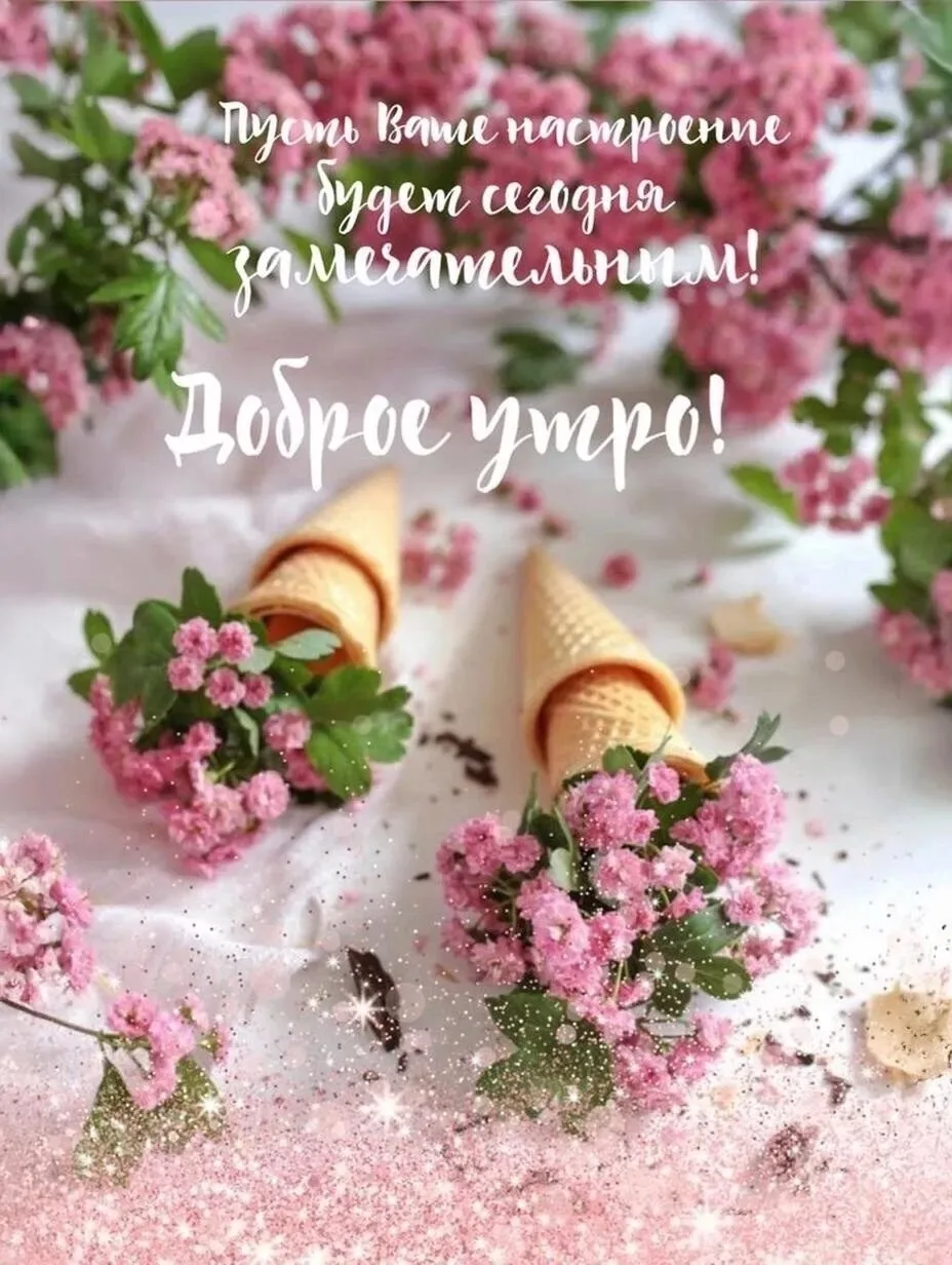 🌼Пусть утро Вам подарит капельку 🤏 мечты и новый день начнётся с тепла ☀️ и доброты ❤️