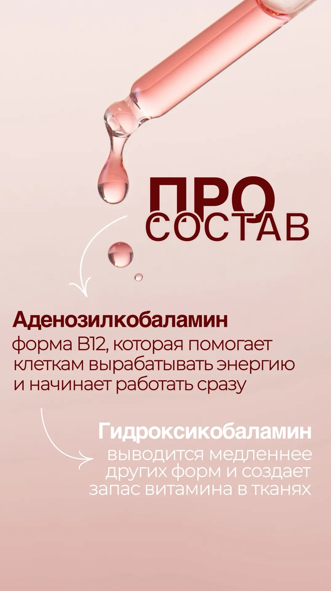 СОСТАВ