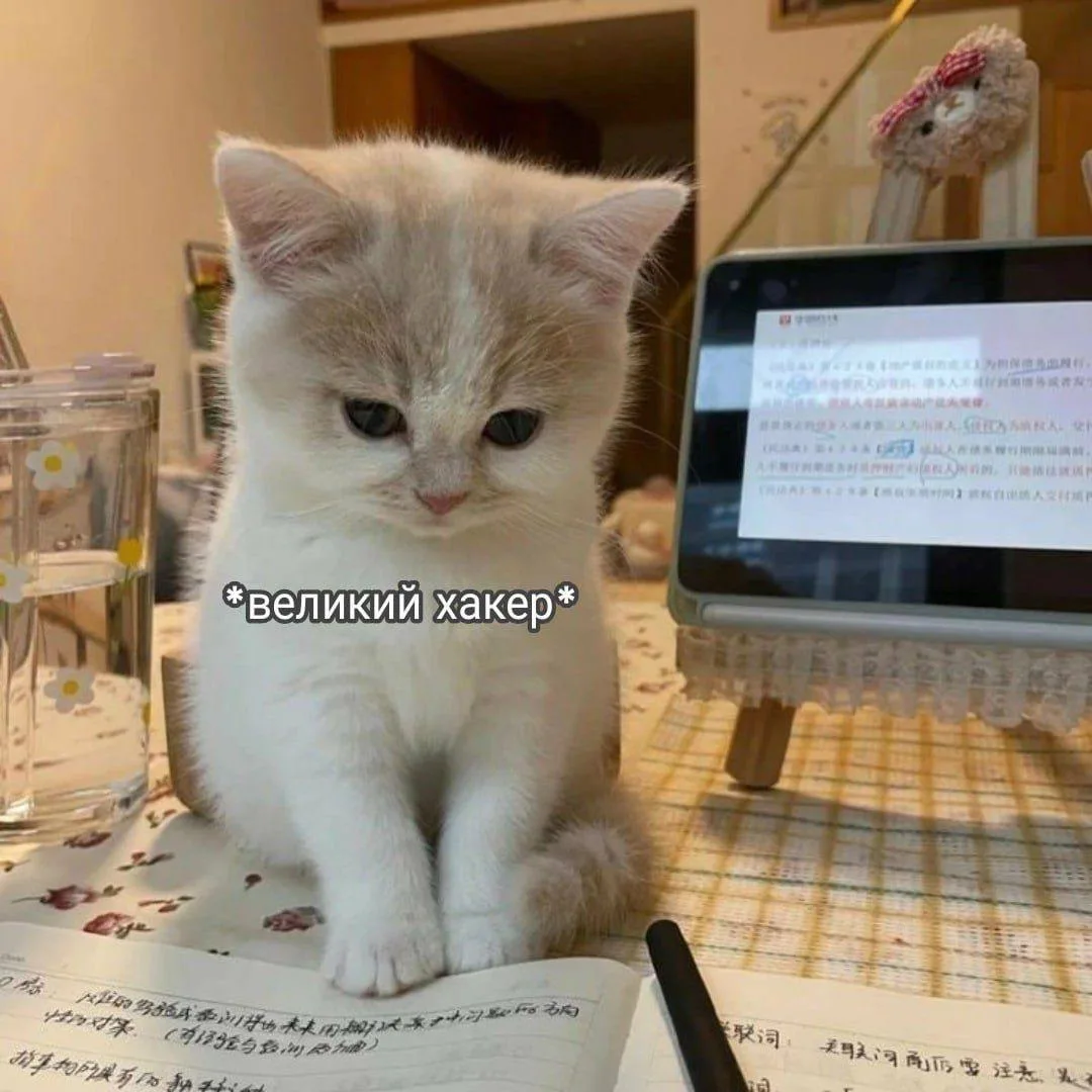 😋 Ты, когда нашла ответы на контрольную после слов училки «ответы можете не искать»:

Учеба