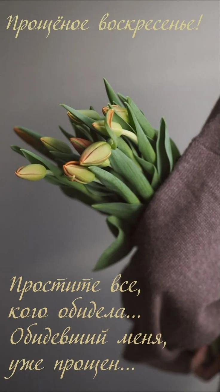 Простите, кого обидела 🙏