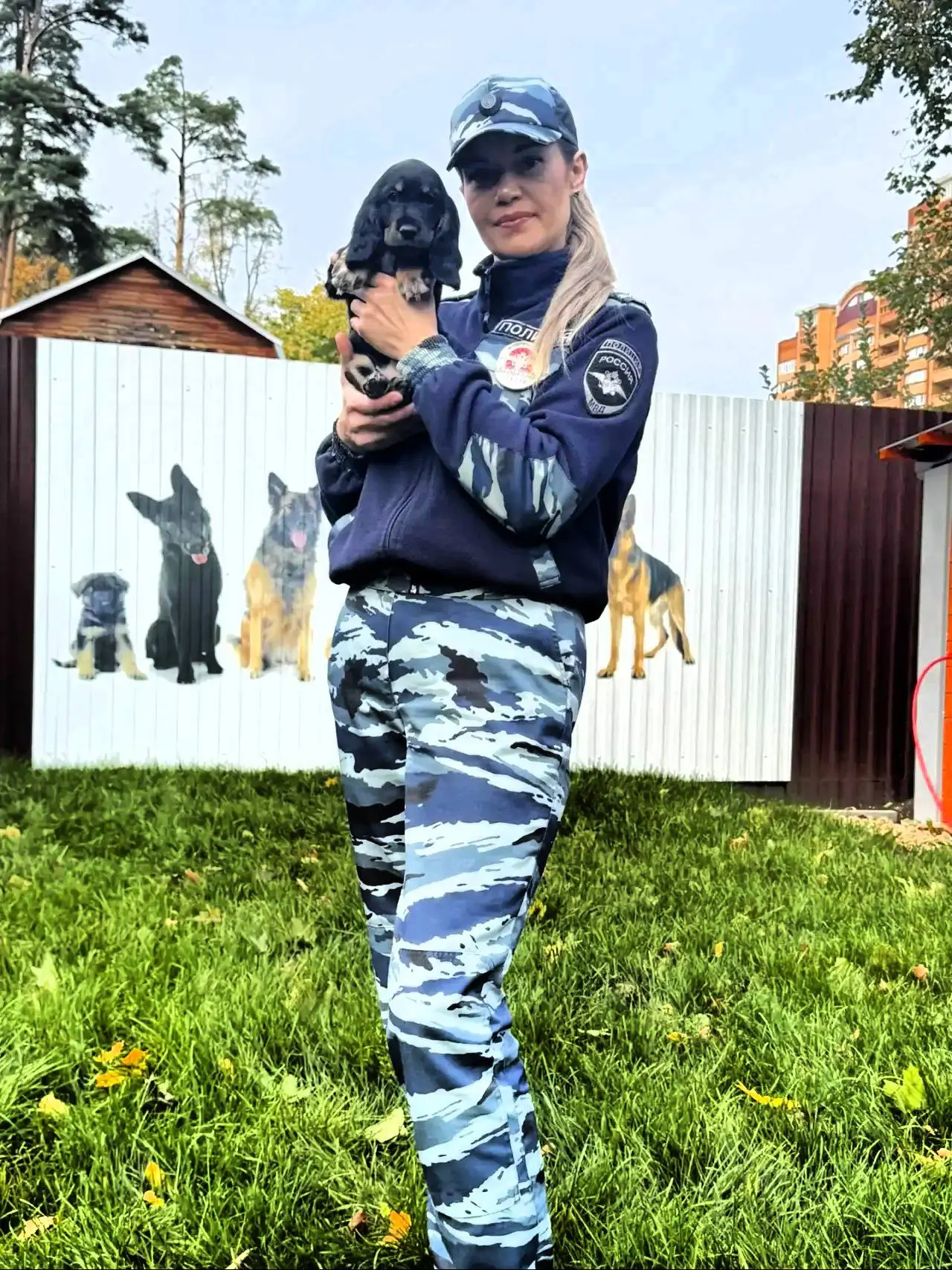 Как обещал, знакомлю вас со вторым щенком – русским охотничьим спаниелем Руной! Мы «оты...
