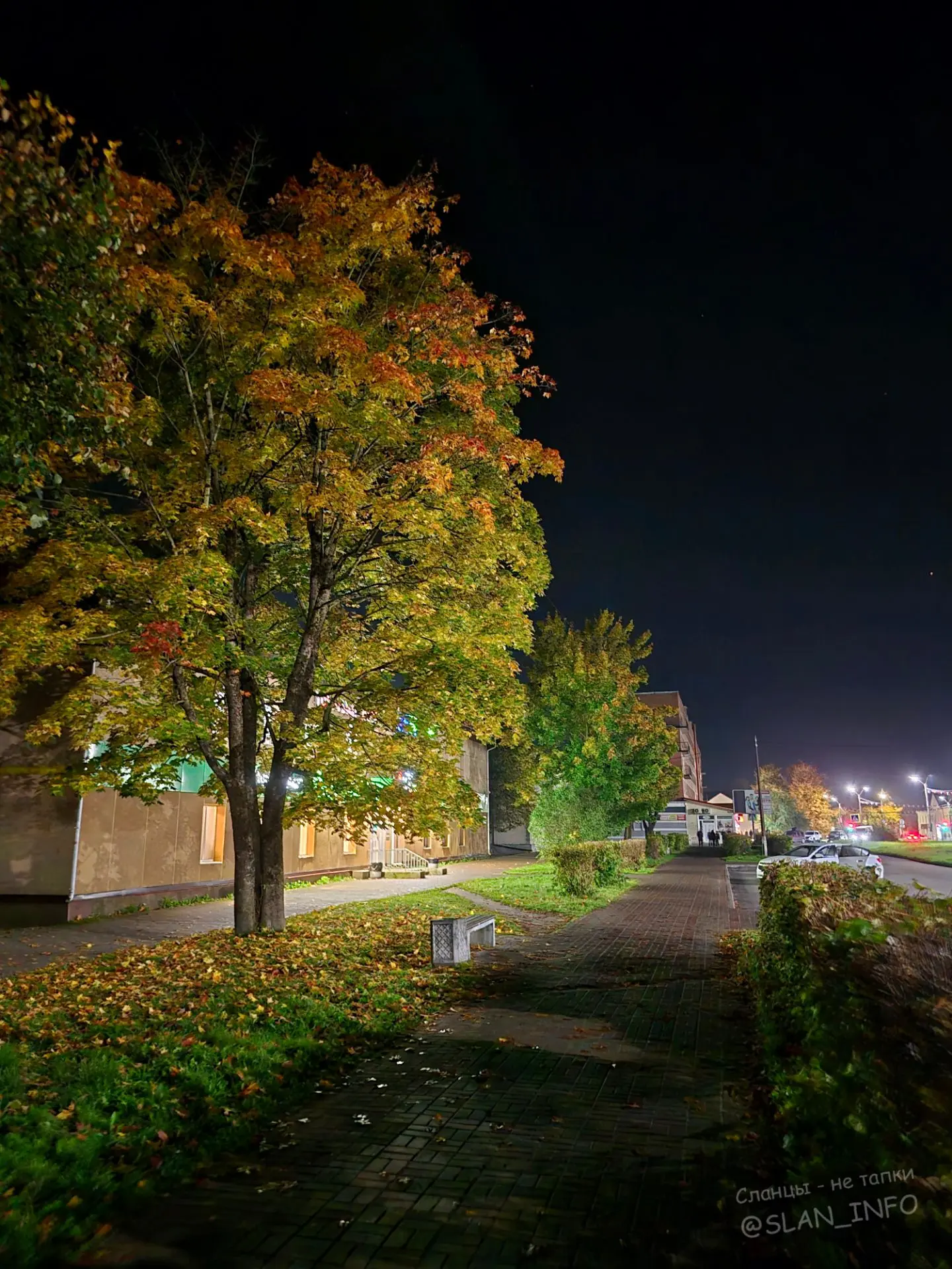 Осенний вечер 🍁🎆🍂🎆🍁
