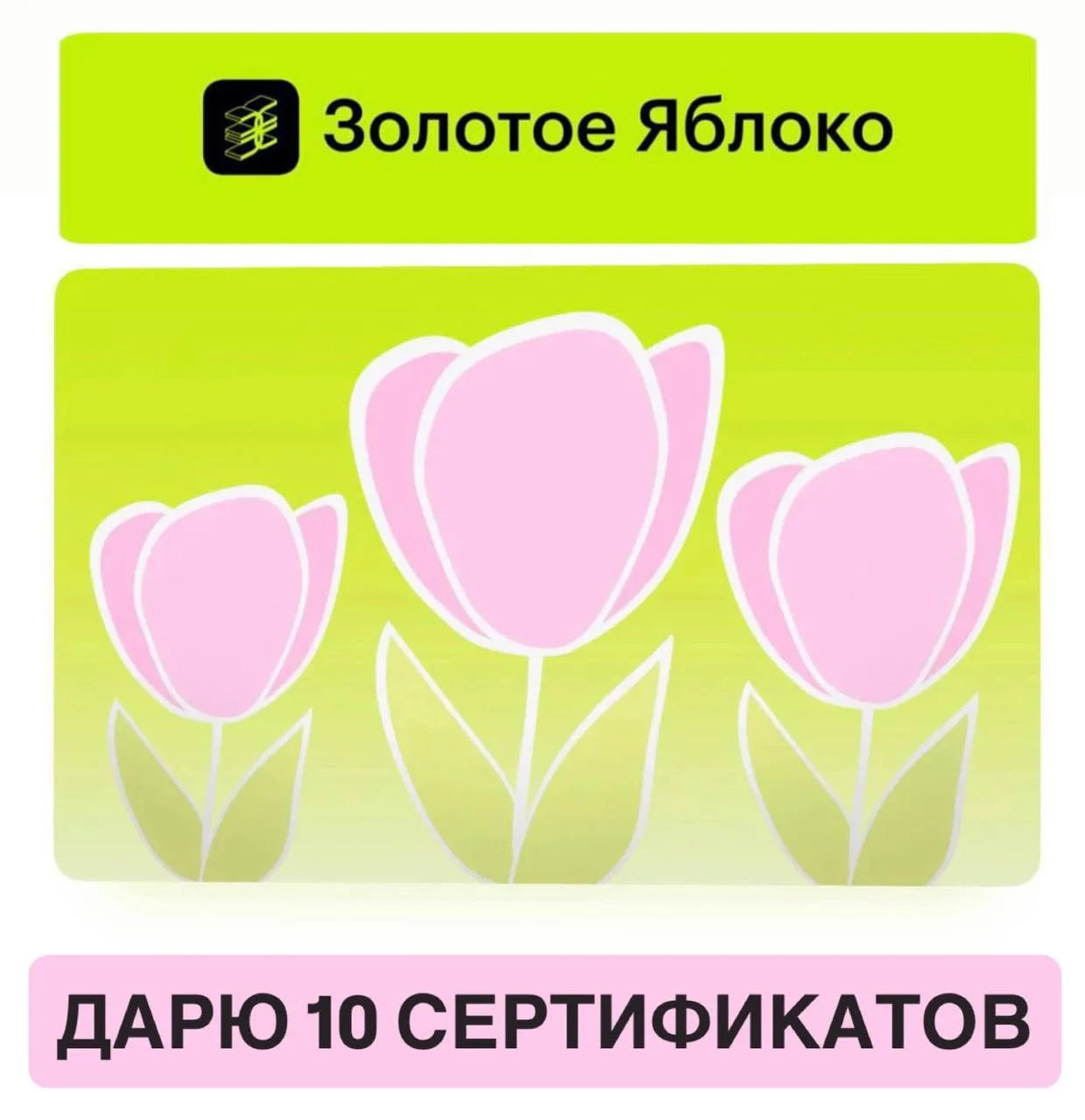 Напоминаю, что завтра мы выберем двух победителей нашего розыгрыша и отправим им сертификаты ❤️‍🔥


