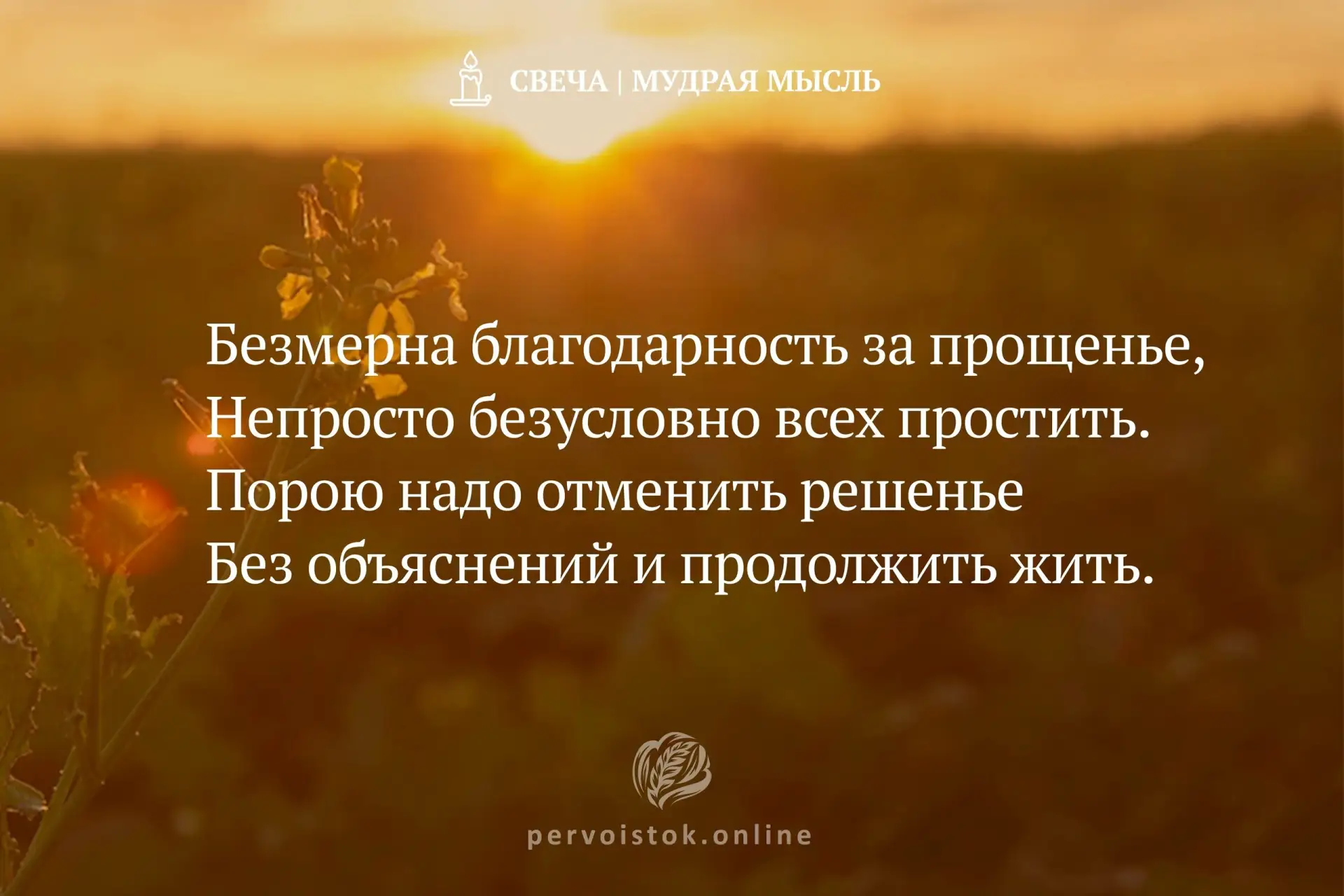 #СвечаДня → мудрость, воспринятая с вечера. #НаПодумать…