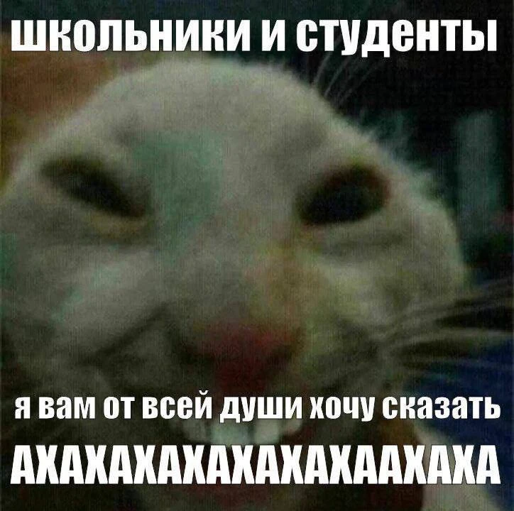 Простите.
