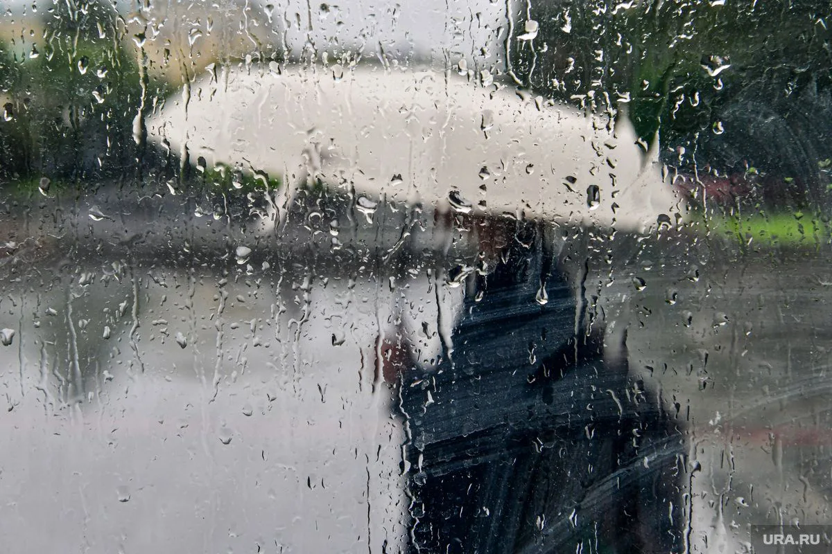 🌧 Дожди, грозы и ветер надвигаются на ХМАО