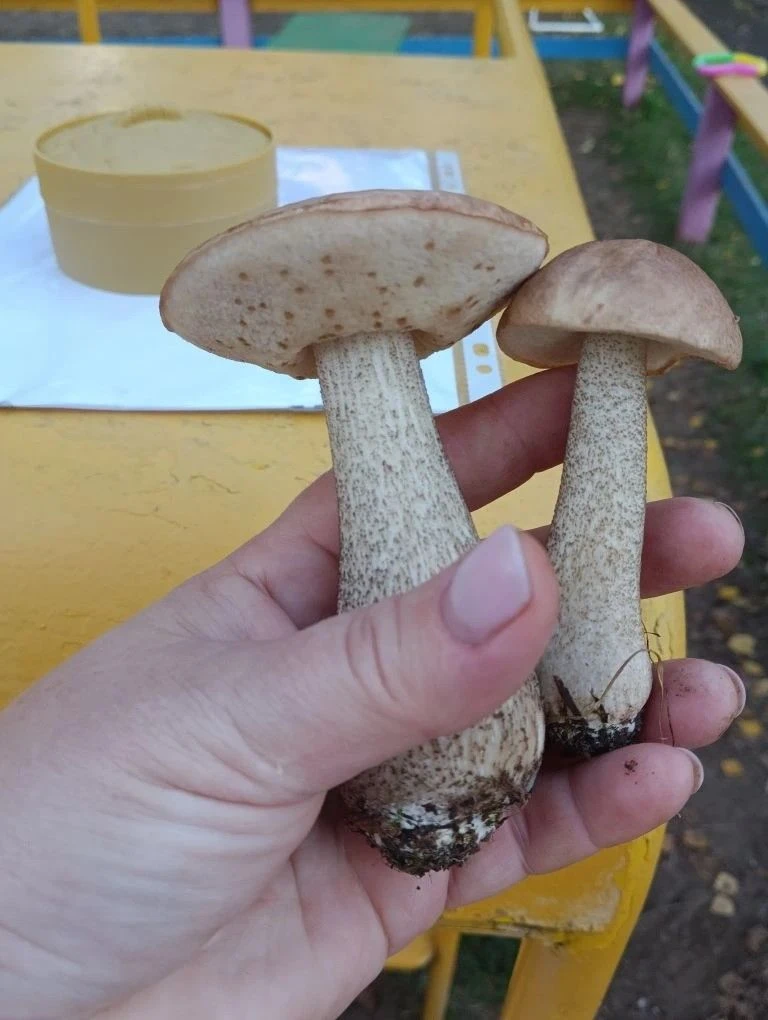 Лето под микроскопом!