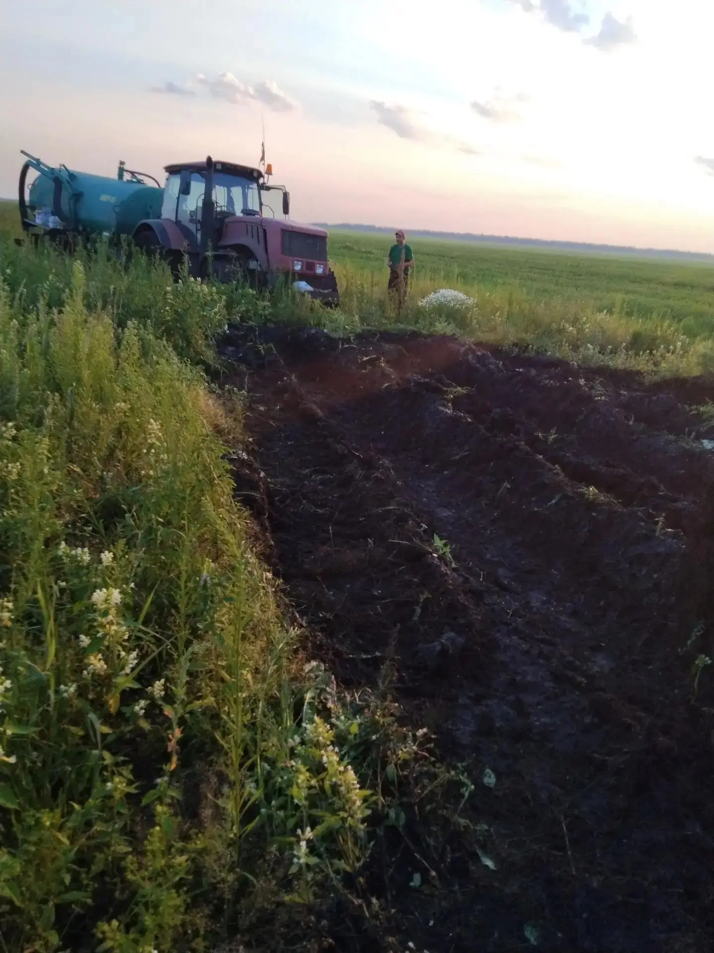 😰 Погода пока сводит на нет заготовку «зеленки» - сенажа и силоса на зиму для дойного ...